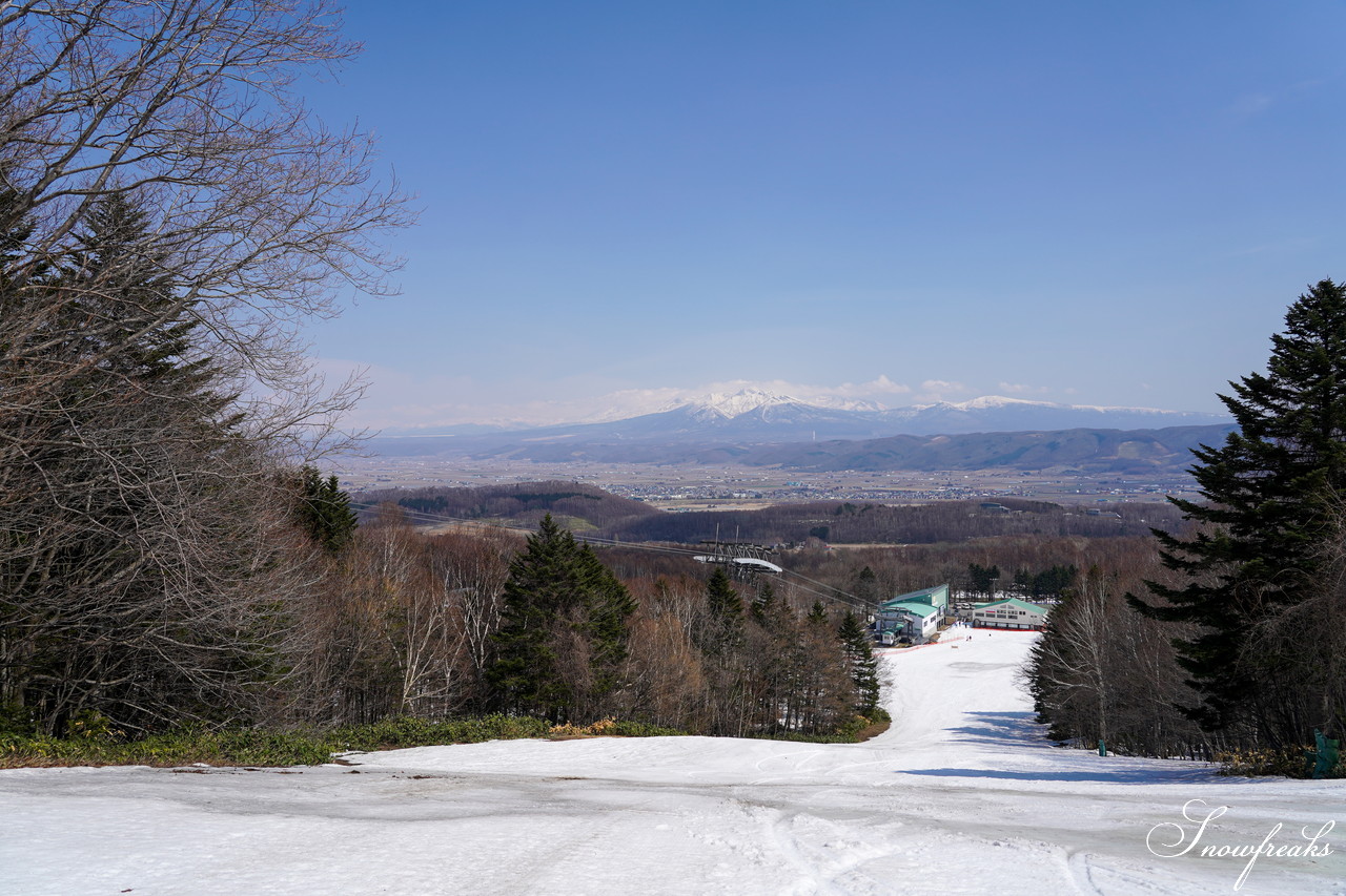 富良野スキー場　気持ちの良いポカポカ陽気に恵まれて、富良野で過ごす素敵な春の１日(^^)v